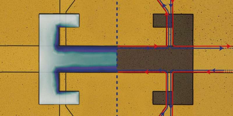 Vacuum fluctuations break topological protection – Department of Physics