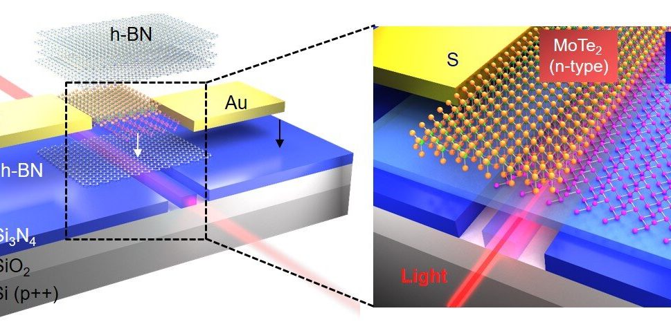 On-chip photodetection: Two-dimensional material heterojunctions